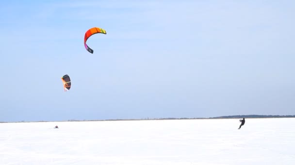 Winter Snow kiting — Stock Video