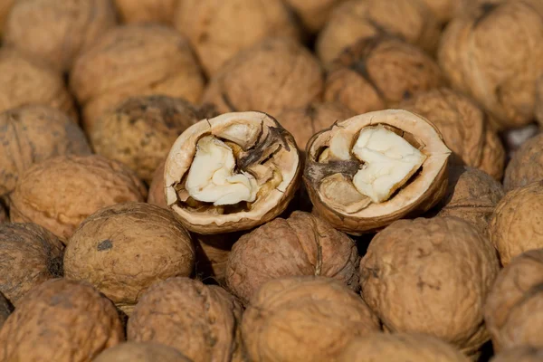 Walnut pile — Stock Photo, Image