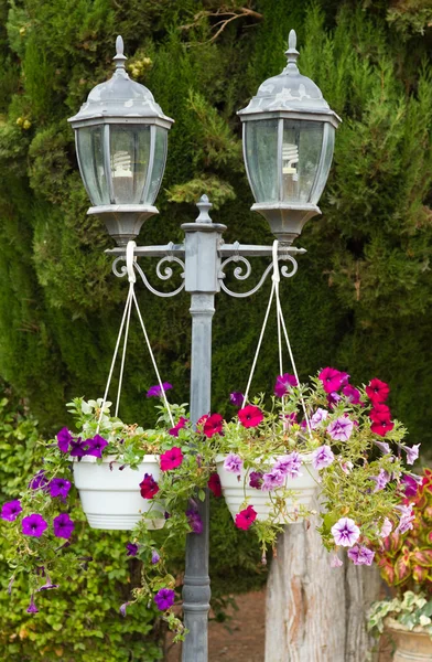 Gartenlampe und Petunienblüten — Stockfoto