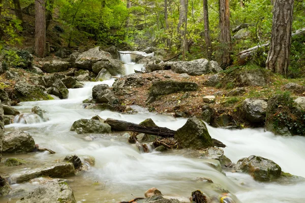 Stream of the mountain river — Stock Photo, Image
