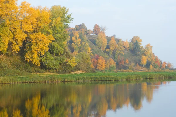 Осенняя красочная листва — стоковое фото