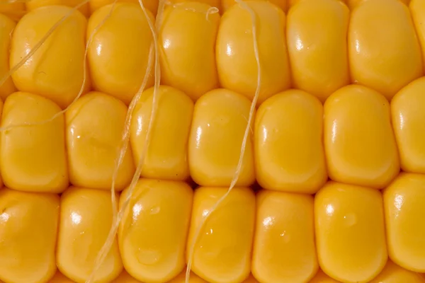 成熟的黄玉米 — 图库照片