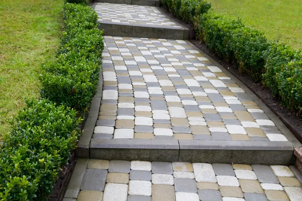 Beautiful path in a garden — Stock Photo, Image