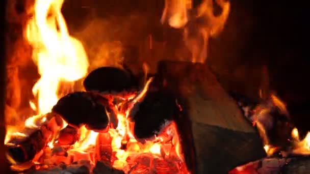 Огненное пламя — стоковое видео