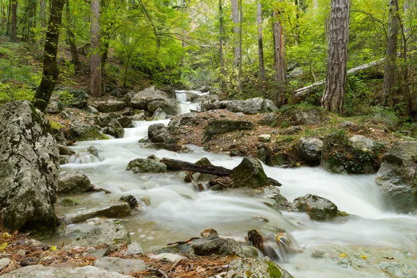 Stream of the mountain river ( long exposure ) — Stok Foto