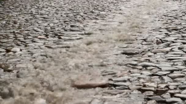Поток дождя — стоковое видео