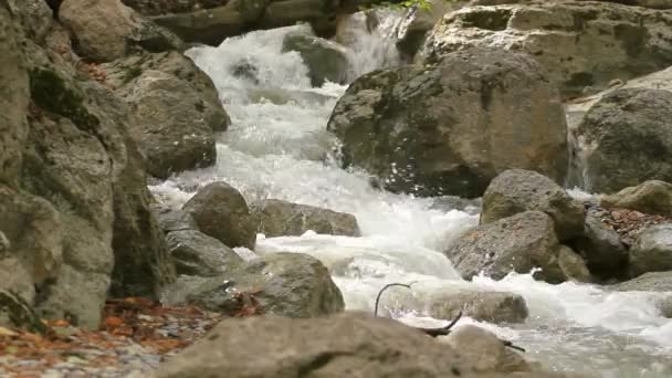 Ruscello del fiume di montagna — Video Stock