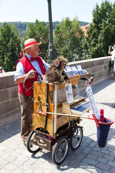 Pouliční hudebník v Praze Stock Fotografie