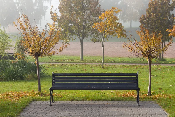 Podzimní sakura stromy a lavičky v parku — Stock fotografie