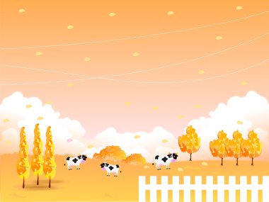 akçaağaç sonbahar yaprakları sığır çiftliği arka plan.