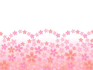 Bahar pembe kiraz çiçekleri arka plan