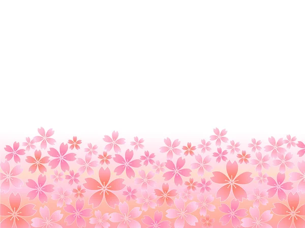 Primavera rosa flores de cerezo fondo — Vector de stock