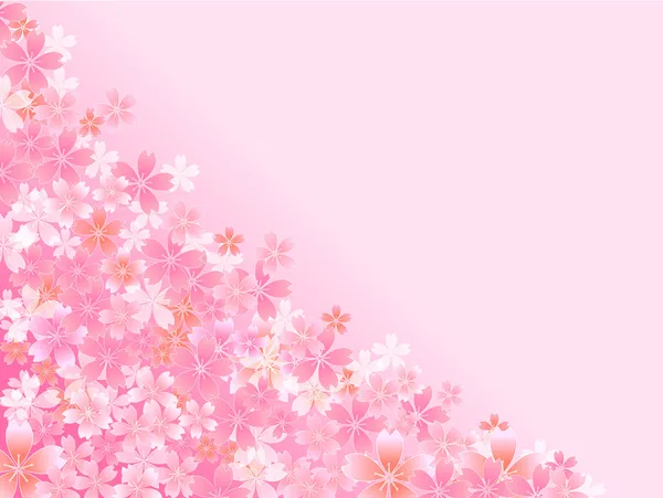 Printemps rose fleurs de cerisier fond — Image vectorielle