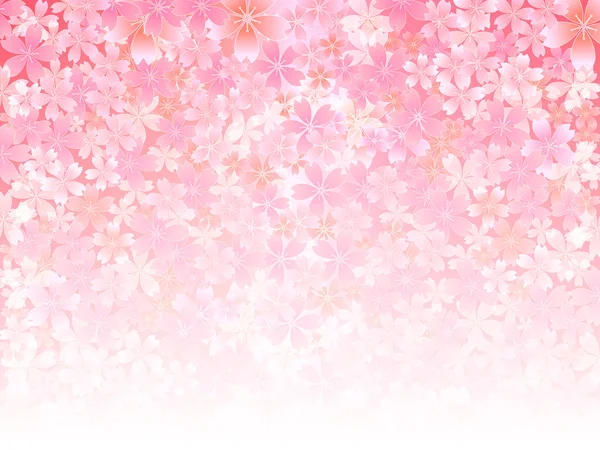 Spring pink cherry blossoms background — Stock Vector