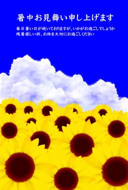 Ayçiçeği de yaz ortası gökyüzü arka plan olsun