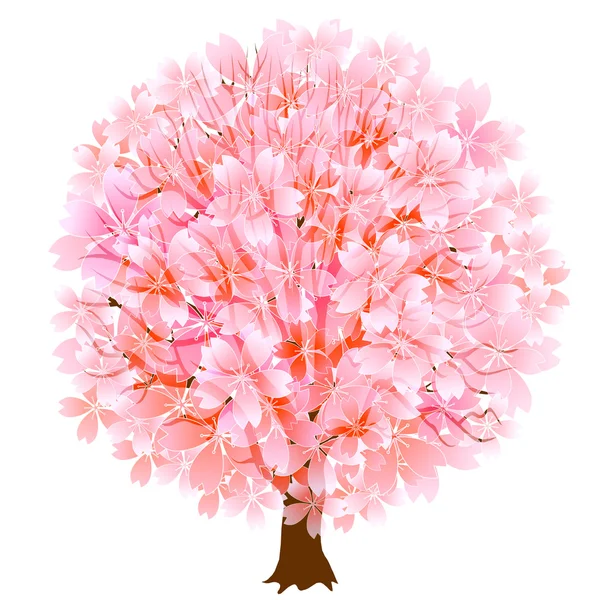 Thurs cerise de printemps — Image vectorielle