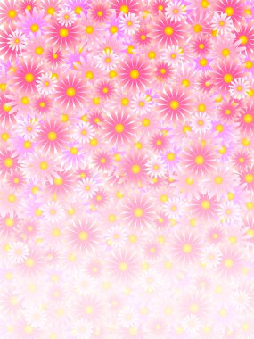 Pembe çiçek petal arka plan