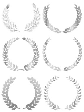 Laurier yaprak defne