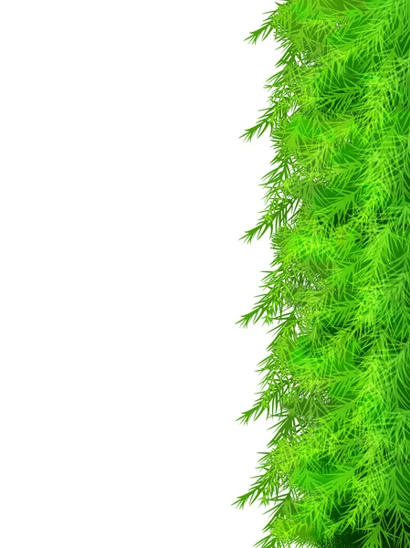 Árbol hoja fondo abeto — Vector de stock