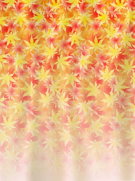 Autumn maple foliage — Stock Vector