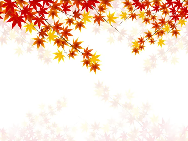 Maple herfst achtergrond — Stockvector