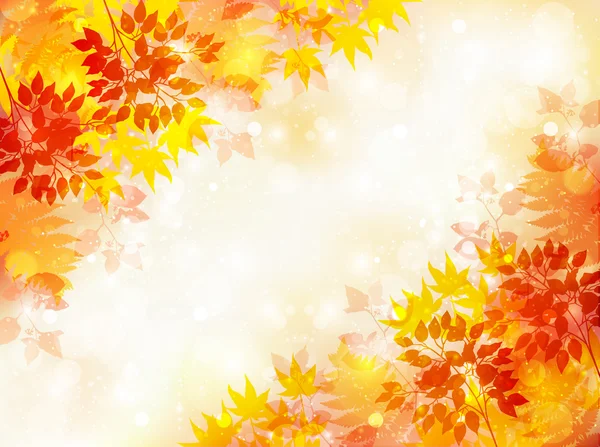 Maple autumn leaves background — Stock Vector