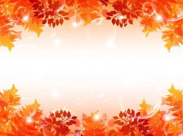 Maple autumn leaves background — Stock Vector