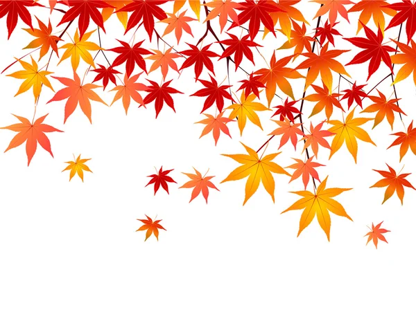 Klon jesień liście tło — Wektor stockowy
