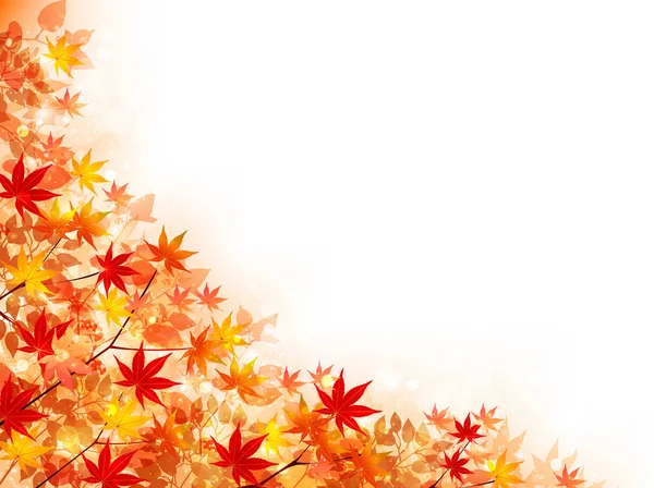 Arce hojas de otoño fondo — Vector de stock