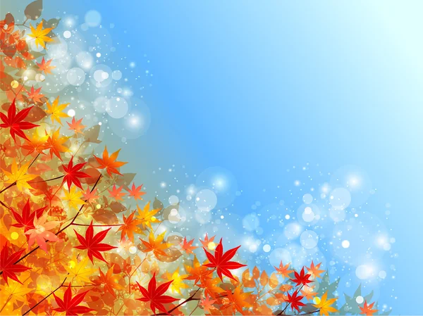 Javor podzim listy pozadí — Stockový vektor