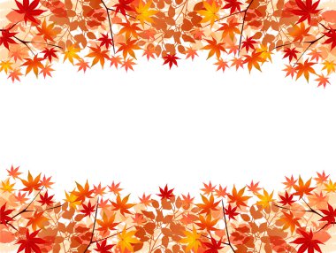 arka plan akçaağaç sonbahar yaprakları