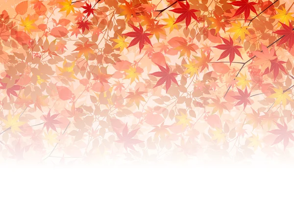 Maple autumn leaves background — Stock Vector