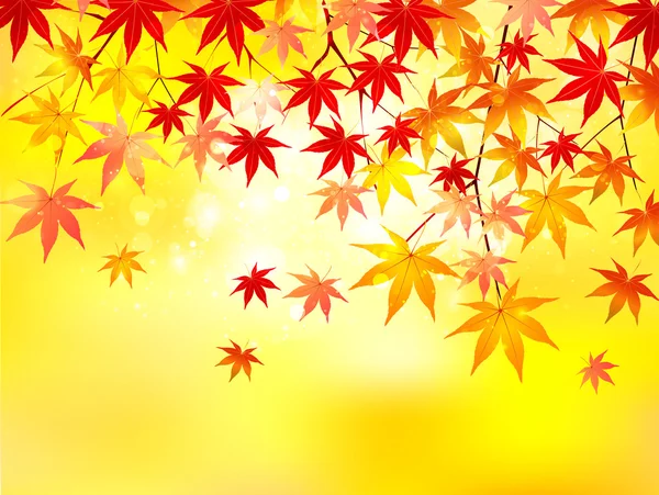 Arce hojas de otoño fondo — Vector de stock