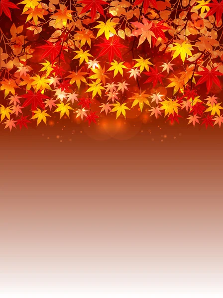 Arce hojas de otoño fondo — Vector de stock