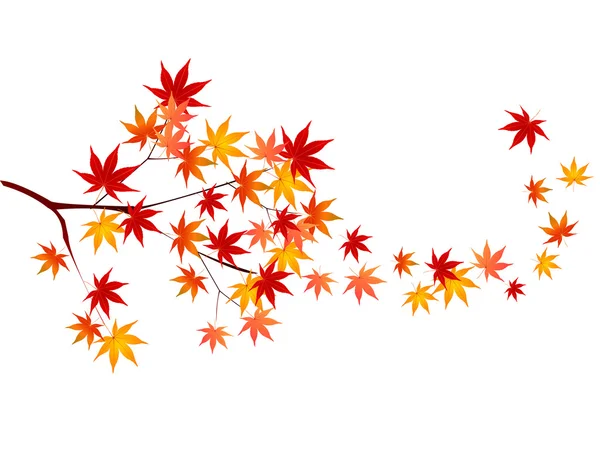 Arce hojas de otoño fondo — Vector de stock