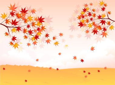 arka plan akçaağaç sonbahar yaprakları