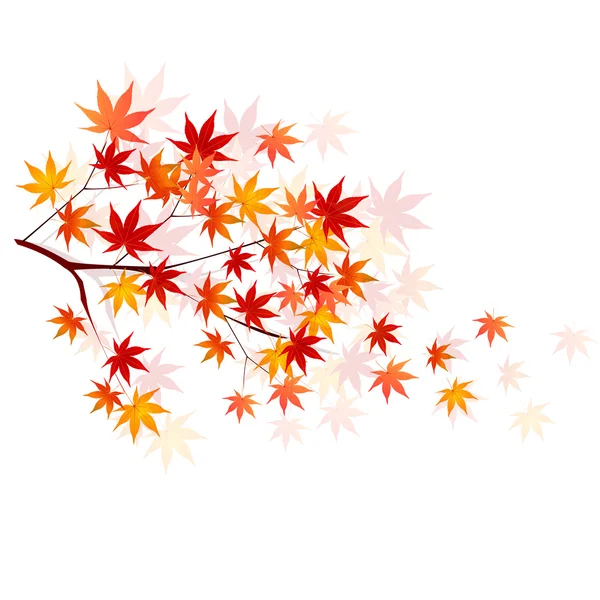 Javor podzim listy pozadí — Stockový vektor