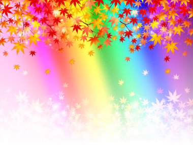 arka plan akçaağaç sonbahar yaprakları