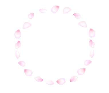 kiraz ağacı kiraz bahar