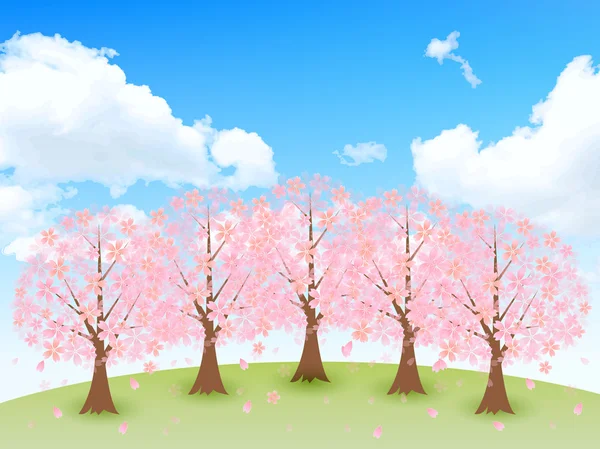 Sakura Hintergrundhimmel — Stockvektor