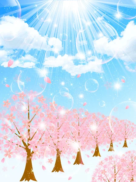 Reihe von Kirschblütenbäumen Hintergrund — Stockvektor