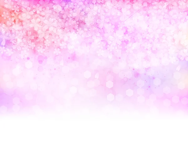 Sakura ciliegio sfondo — Vettoriale Stock
