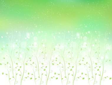 yaprak arka planda gökyüzü