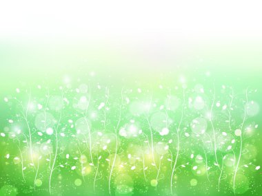 yaprak arka planda gökyüzü