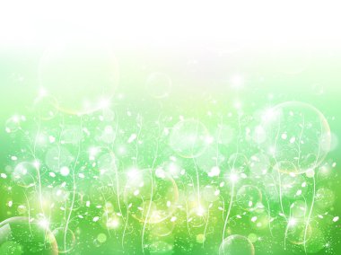 yaprak arka planda gökyüzü