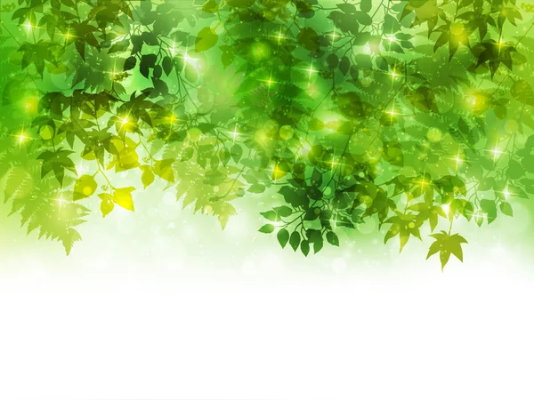 植物の葉の背景 — ストックベクタ
