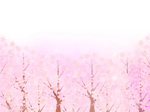 Körsbärsträd körsbärsträd våren bakgrund — Stock vektor
