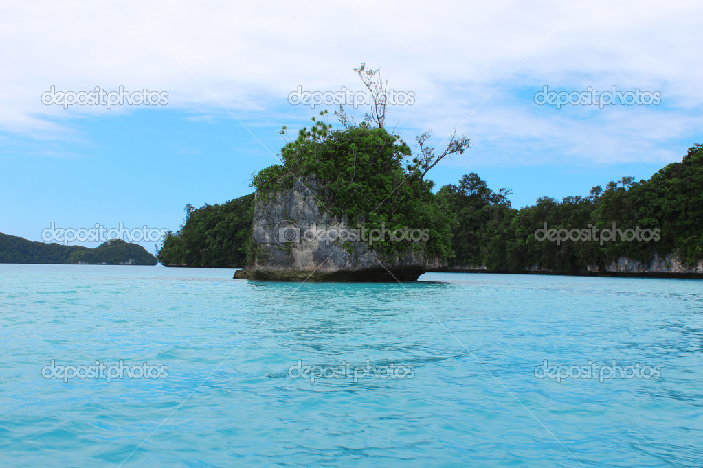 Sea Sky Palau