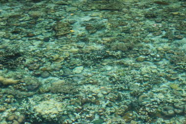 deniz gökyüzü palau