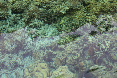 deniz gökyüzü palau